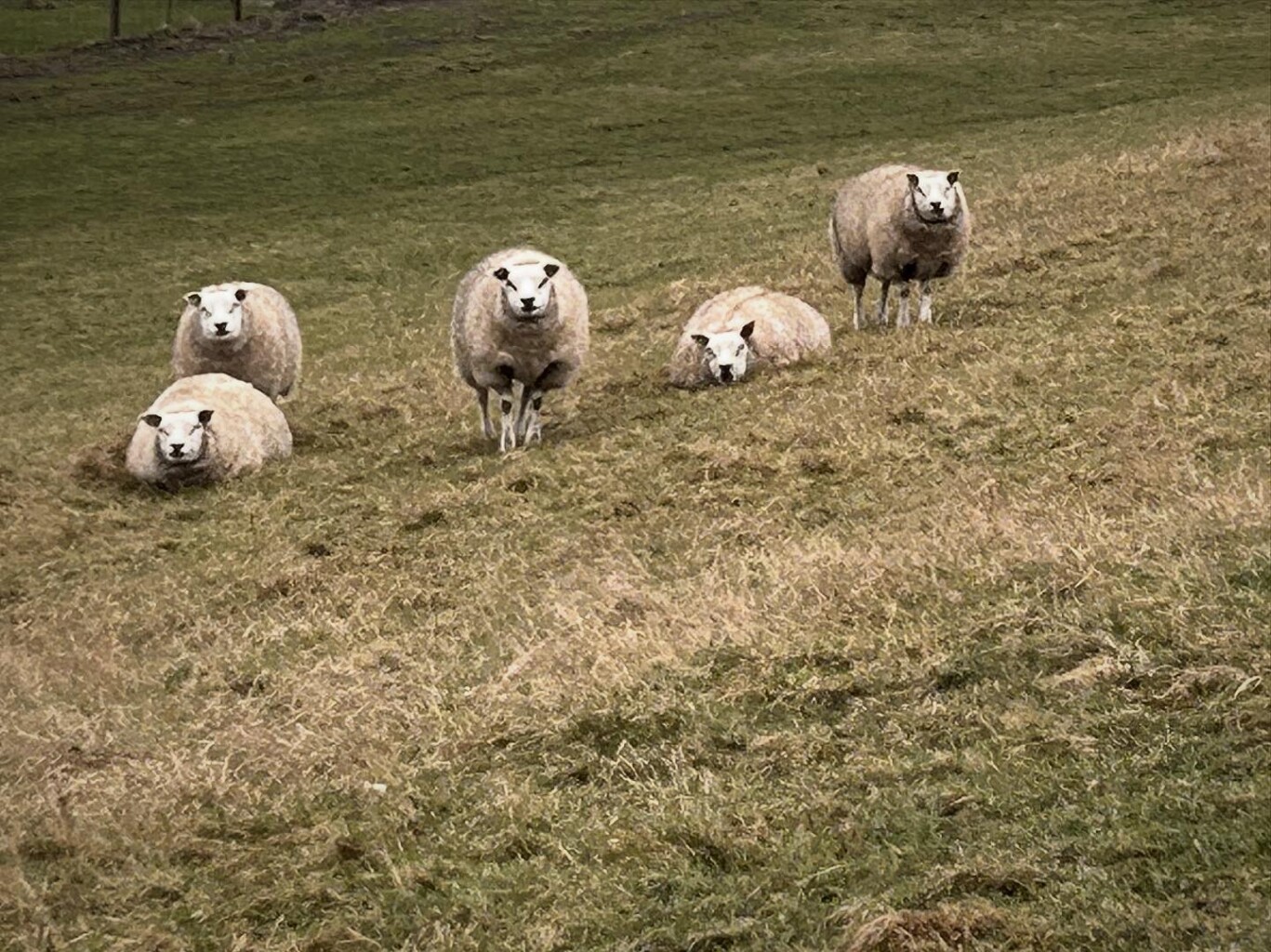 Callantsoof - Anna Paulowna · Nederlands Kustpad 2 etappe 11