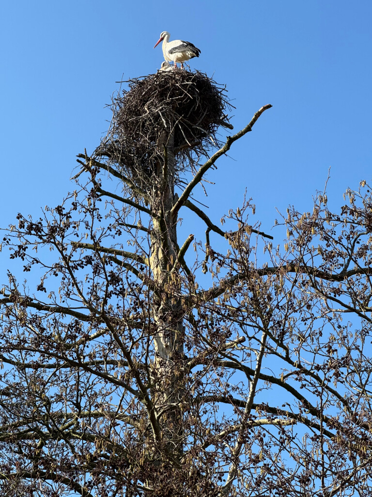 Symfonie van kleur- Van Gogh wandelroutes