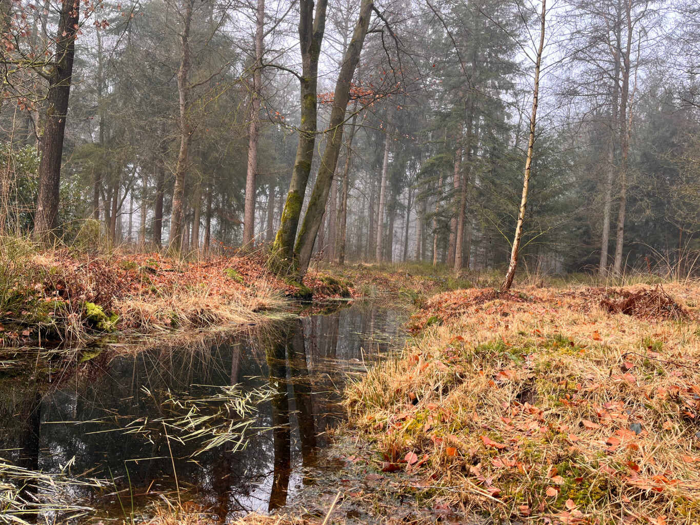 Oldeberkoop - Donkerbroek · Stellingenpad etappe 9