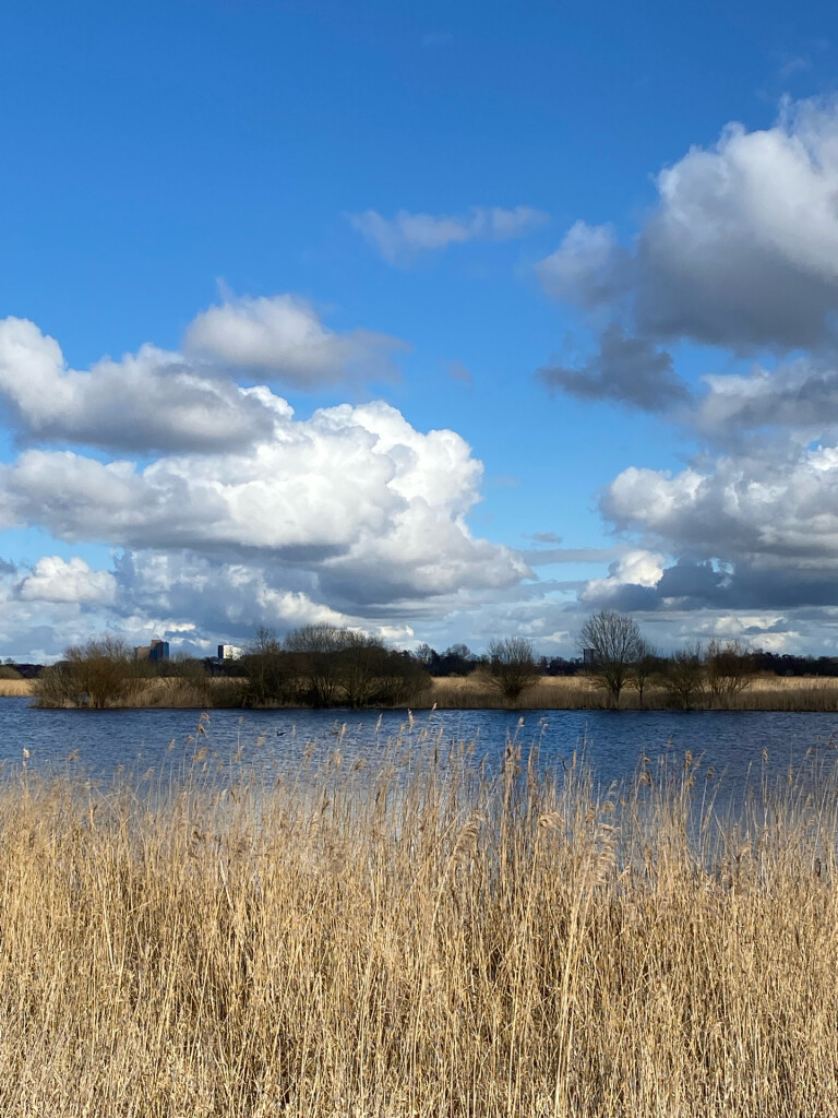 Roden - Peizermade · Drenthepad etappe 8