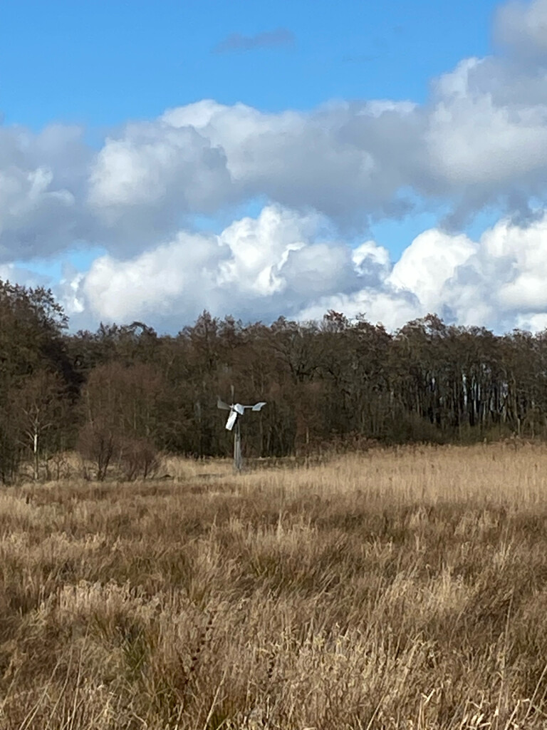 Roden - Peizermade · Drenthepad etappe 8