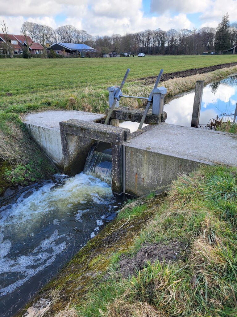 Ommetje Haarloseveld