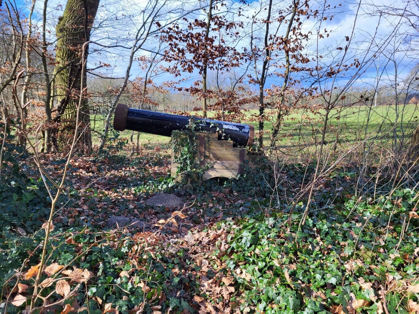 Ommetje Haarloseveld