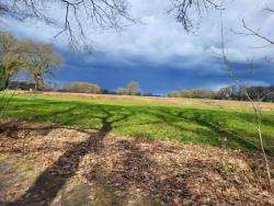 Ommetje Haarloseveld