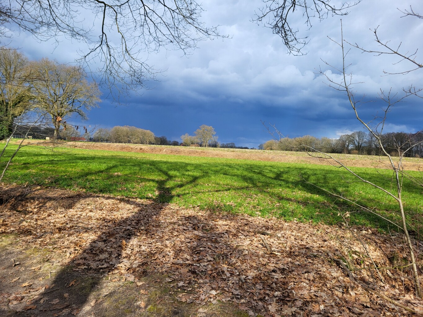 Ommetje Haarloseveld