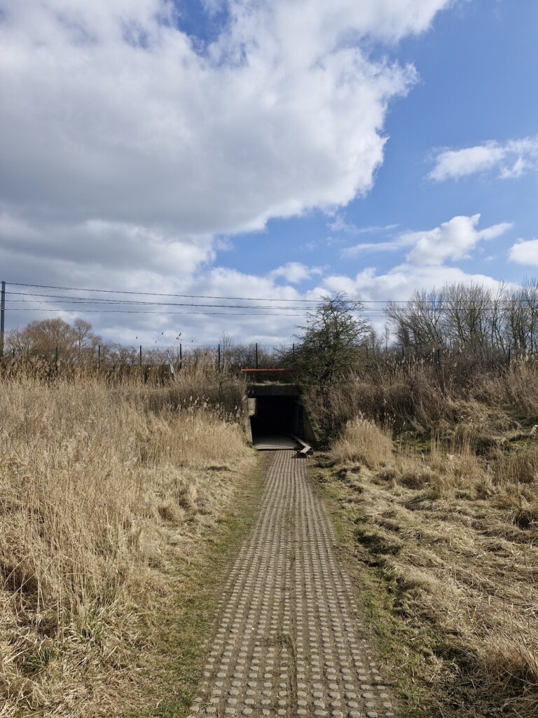 Wandelroute Moeraspad