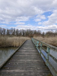 Wandelroute Moeraspad