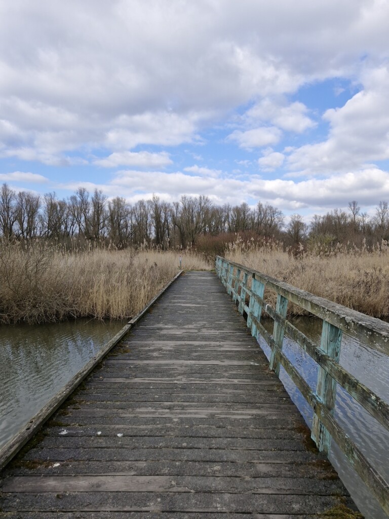 Wandelroute Moeraspad