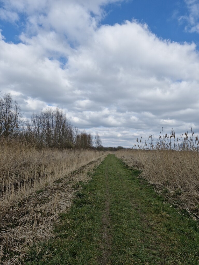 Wandelroute Moeraspad