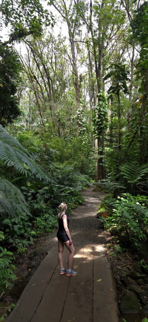 Mānoa Falls Trail
