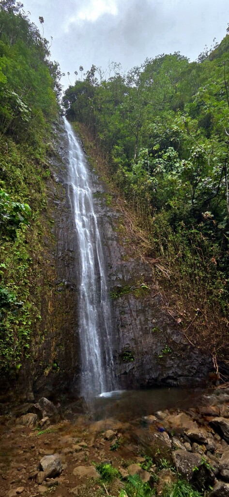 Mānoa Falls Trail