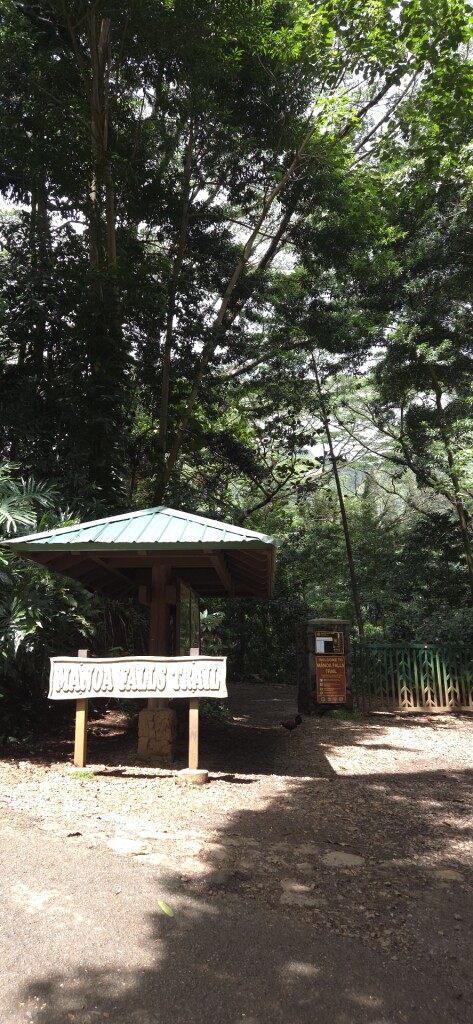 Mānoa Falls Trail