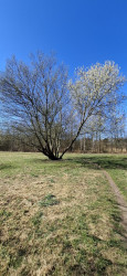 Kloosterrondwandeling Heeswijk-Dinther