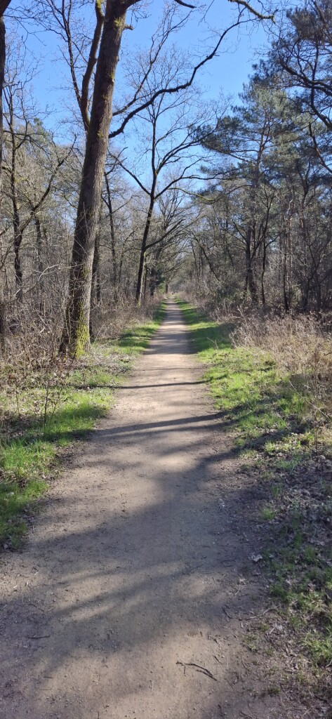 Kloosterrondwandeling Heeswijk-Dinther