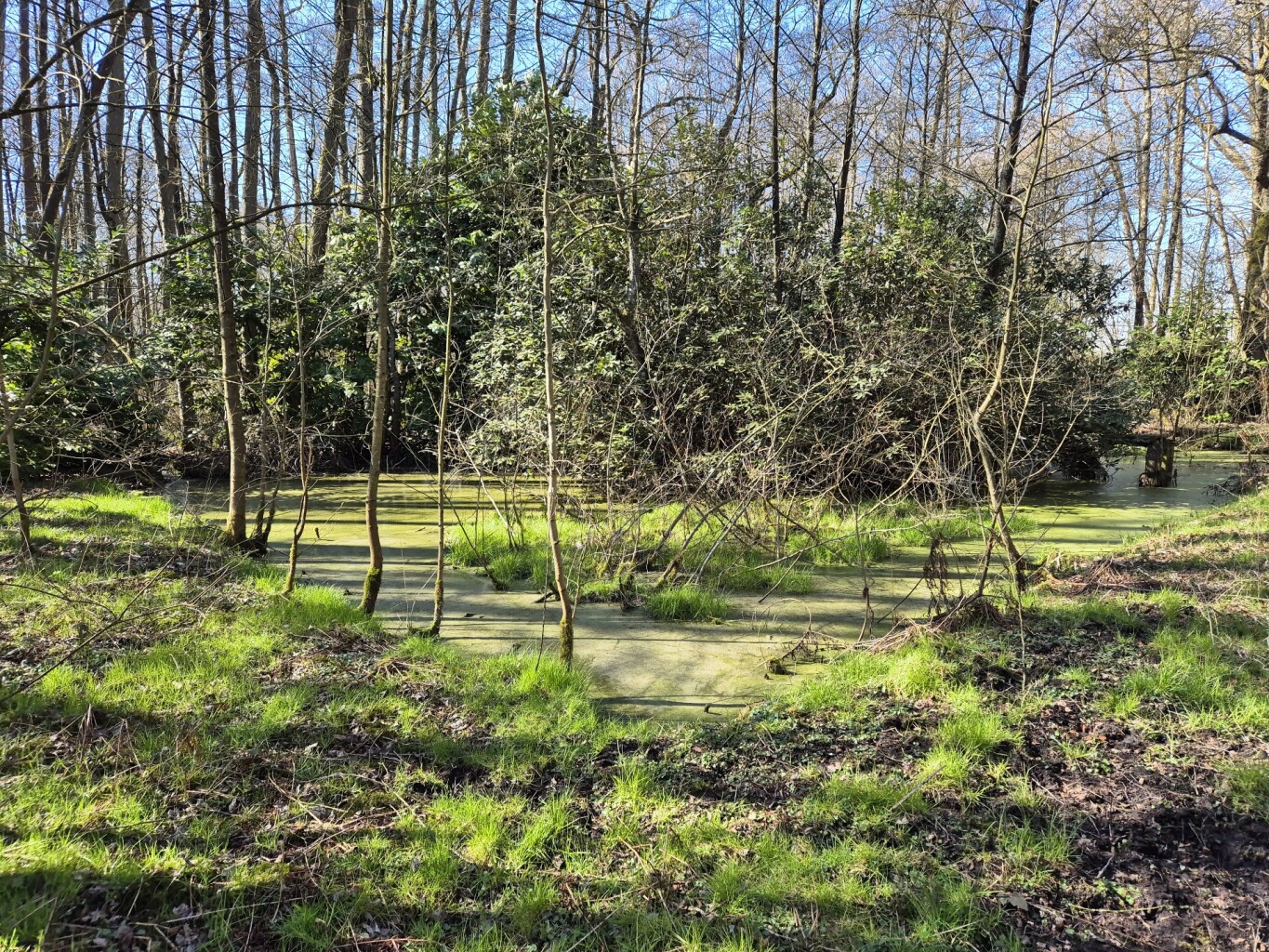 Peer - Neerpelt · Dommelpad etappe 1