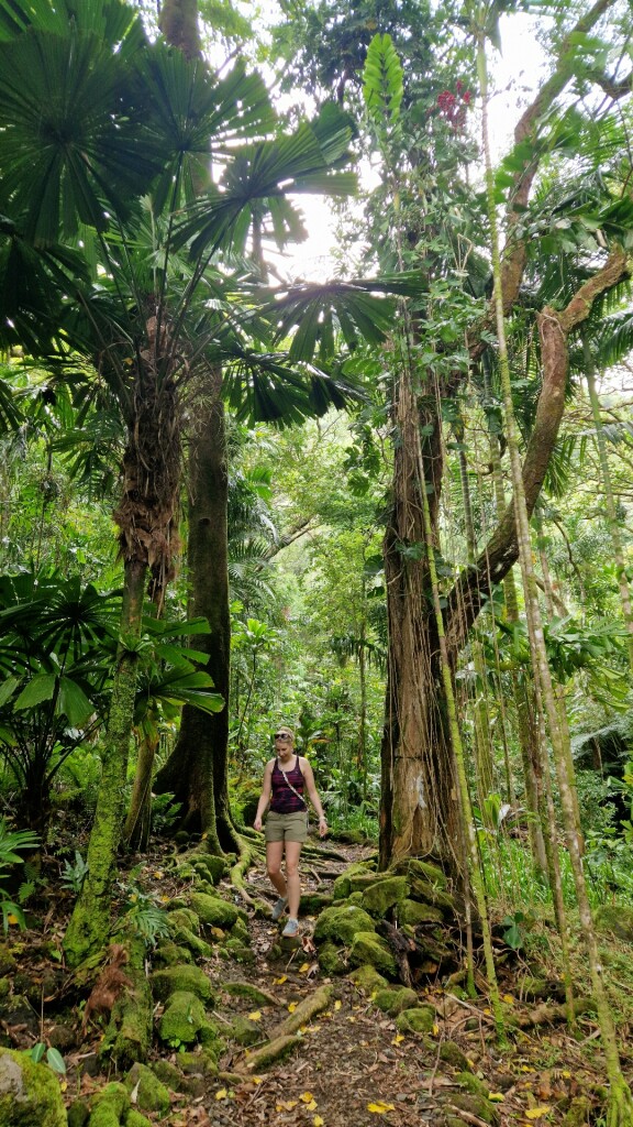 ʻAihualama Falls Trail