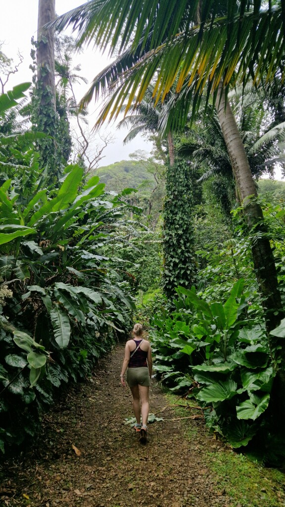 ʻAihualama Falls Trail