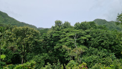 ʻAihualama Falls Trail
