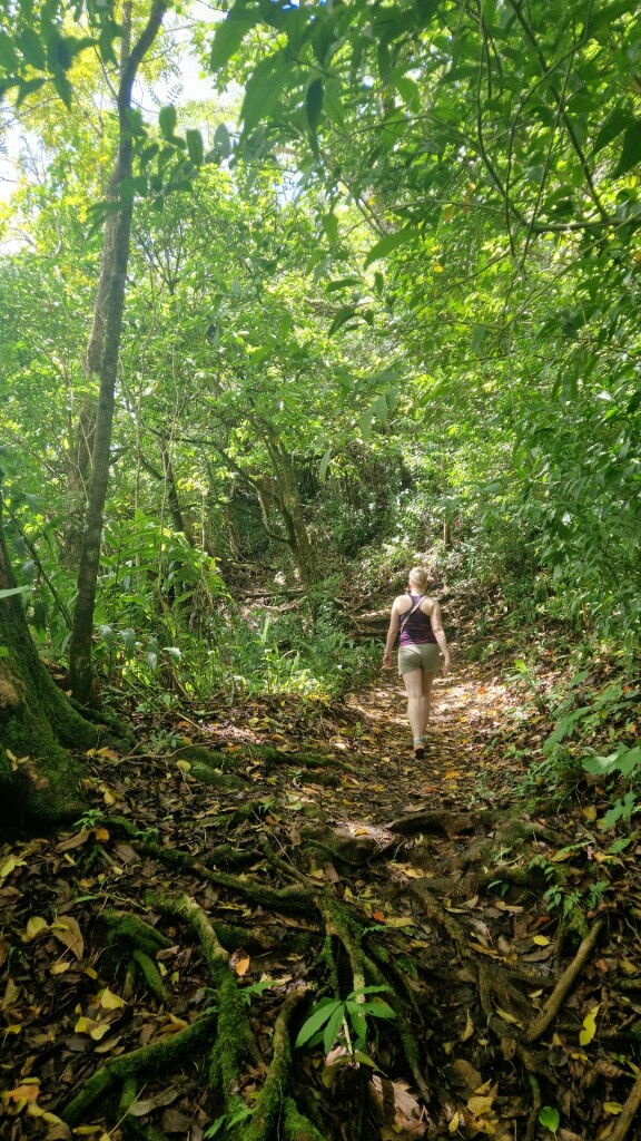 Pu'u Ohia (Mount Tantalus)