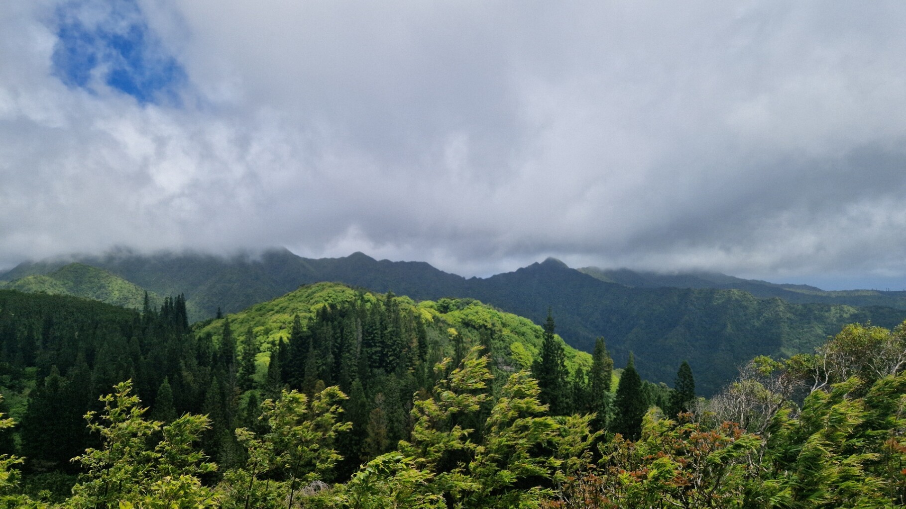 Pu'u Ohia (Mount Tantalus)