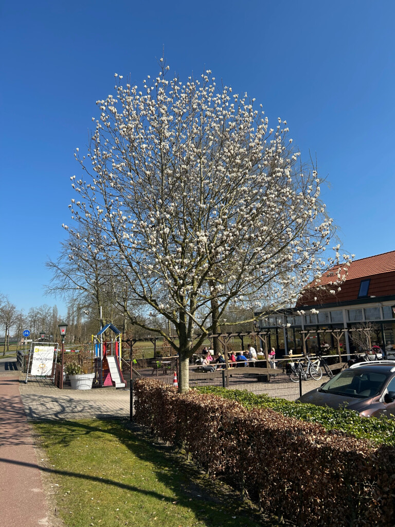 Eindhoven - Velhoven-dorp · Camino Brabant etappe 5