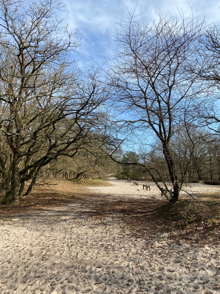 De Klomp - Veenendaal Prattenburg · Pad van de Vrijheid etappe 11