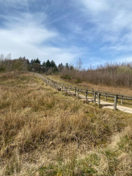 Veenendaal Prattenburg - Rhenen · Pad van de Vrijheid etappe 12