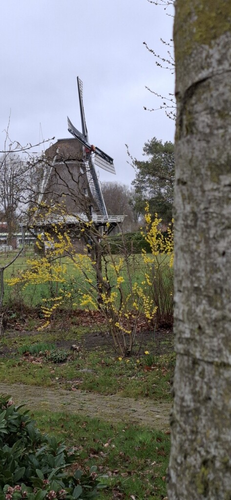 Diever Ommetje Romeo en Julia