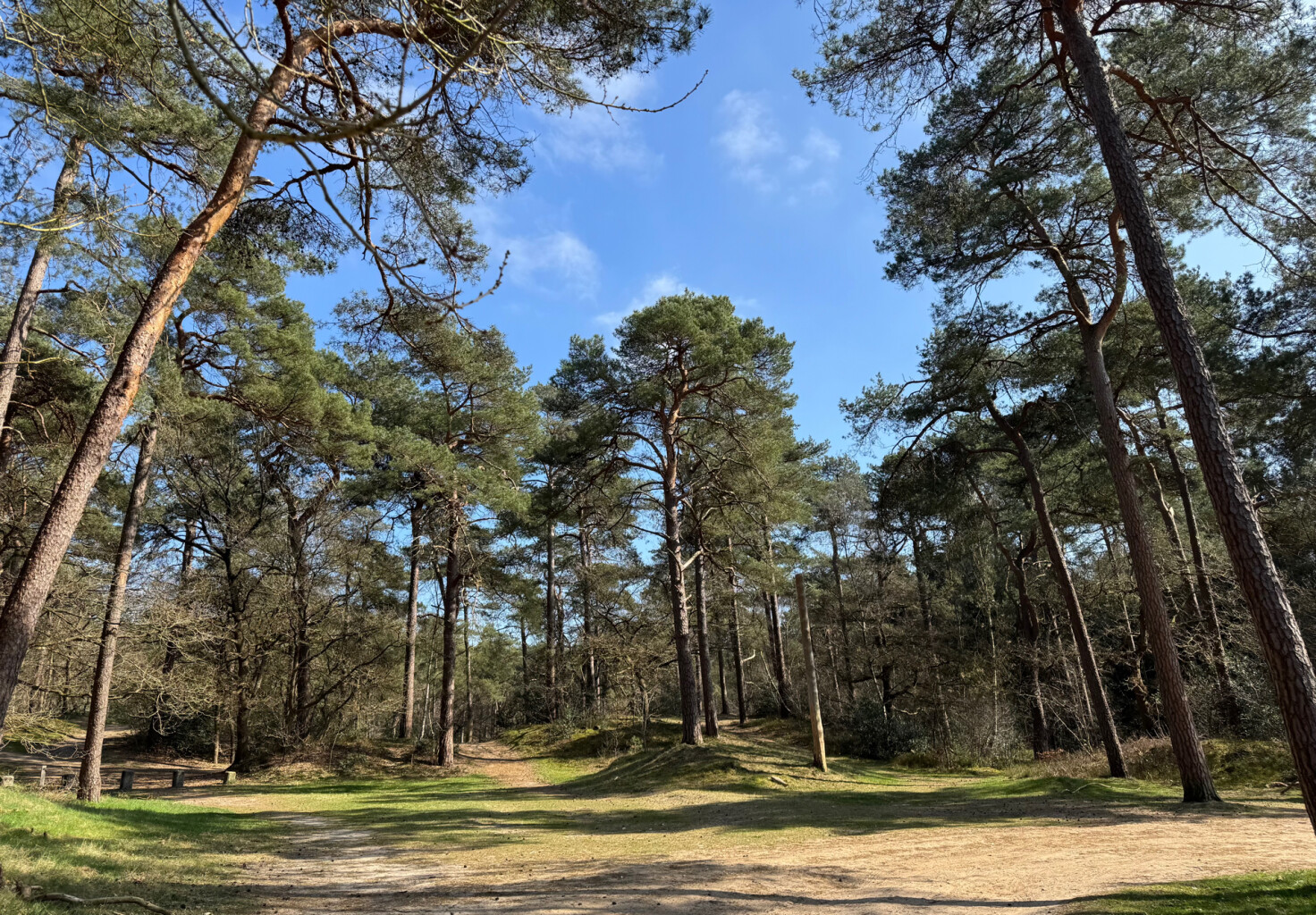 Gele paaltjesroute Norg | richting Langelo