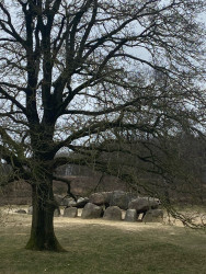 Wandelroute Holtingerveld, vlakbij Havelte