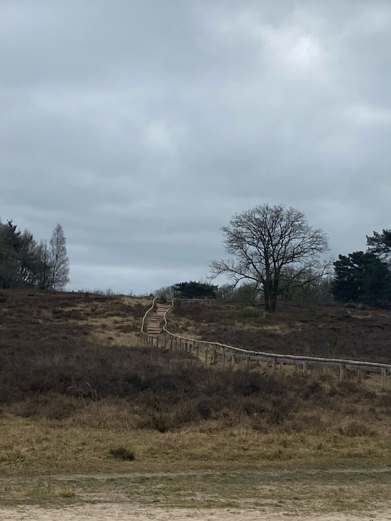 Wandelroute Holtingerveld, vlakbij Havelte