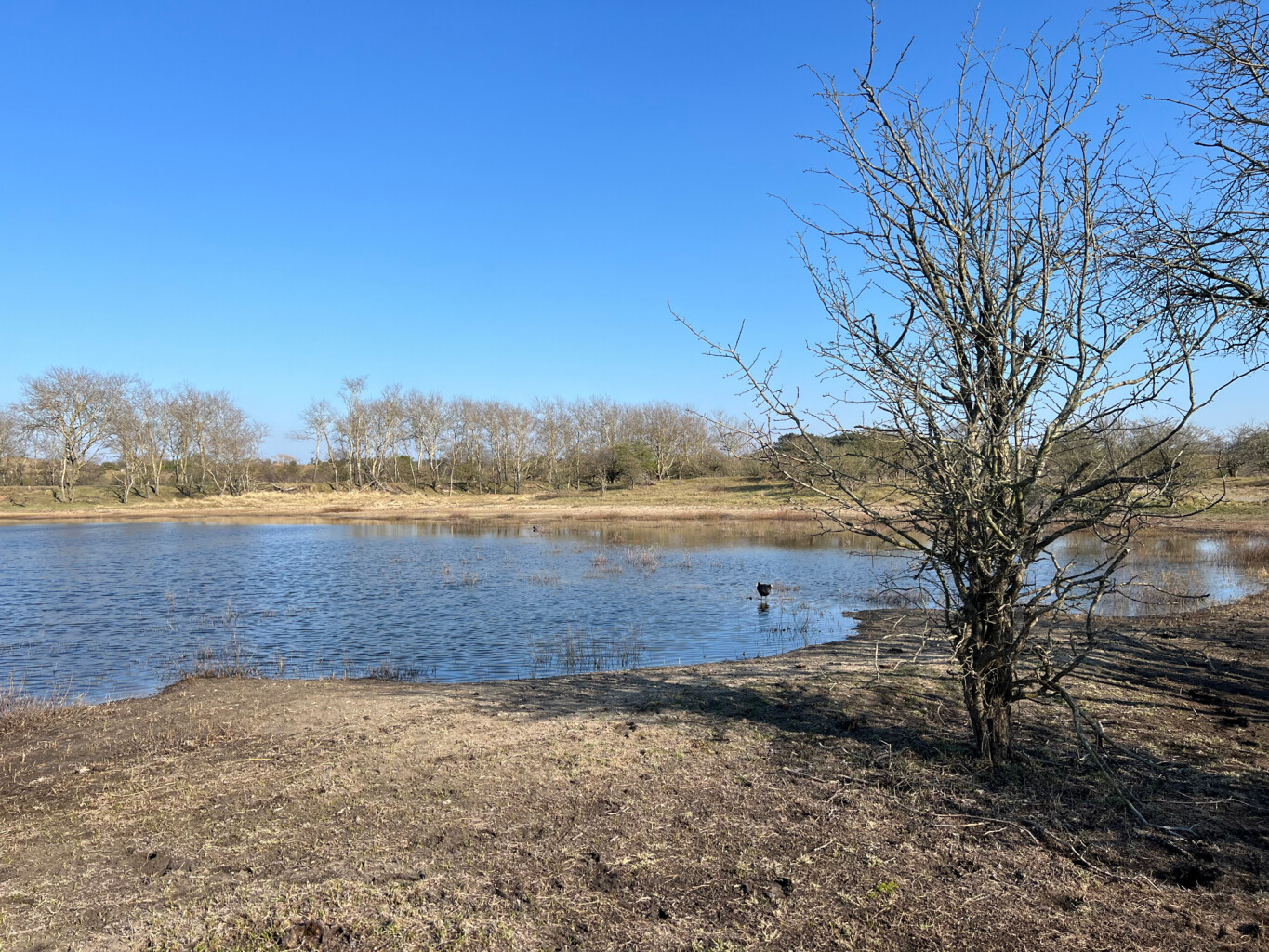 Nationaal Park Zuid-Kennemerland