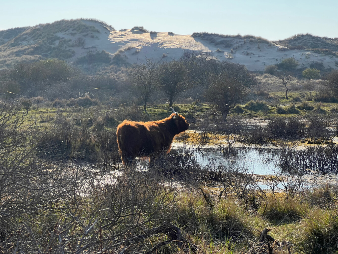 Nationaal Park Zuid-Kennemerland