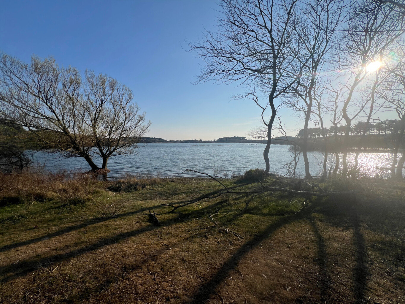 Nationaal Park Zuid-Kennemerland