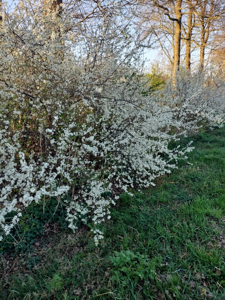 Onderweg · Klaverblad Sleen etappe 4