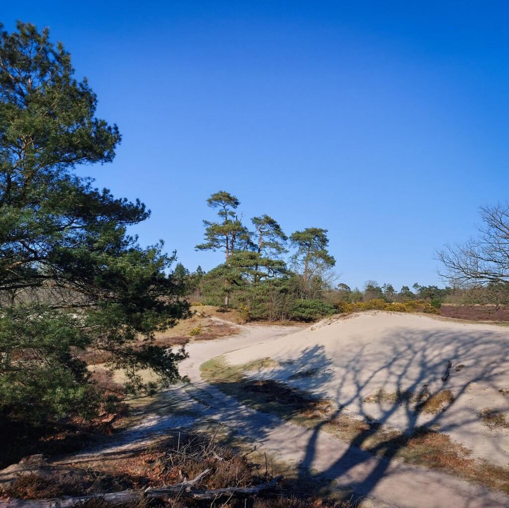 Groot rondje Bakkeveense Duinen