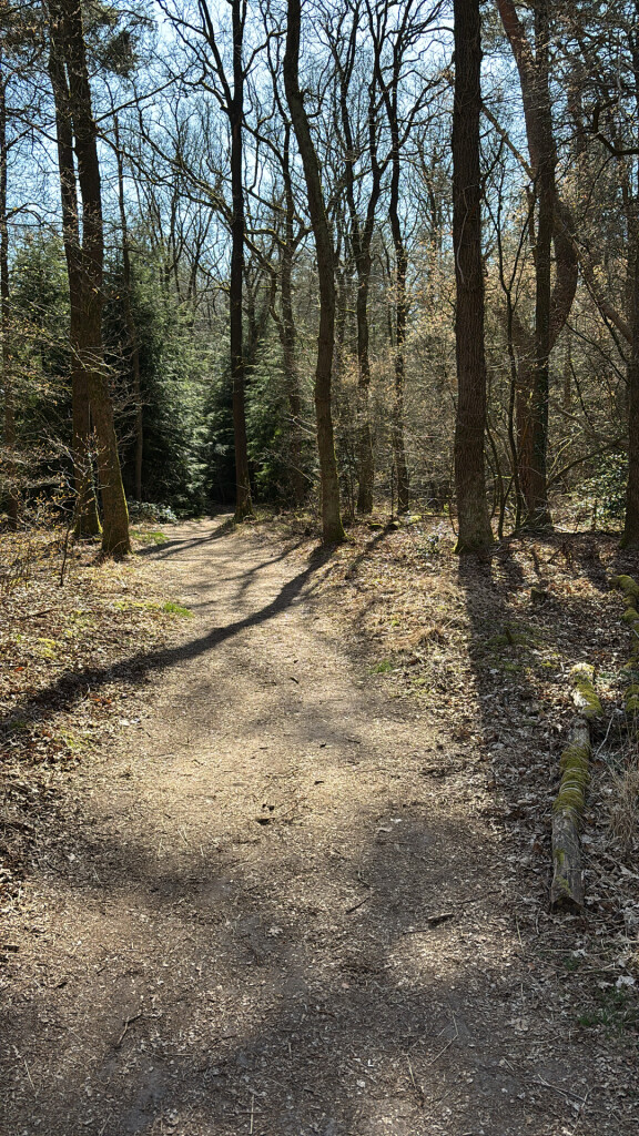 Glimmen - Zuidlaren · Drenthepad etappe 10