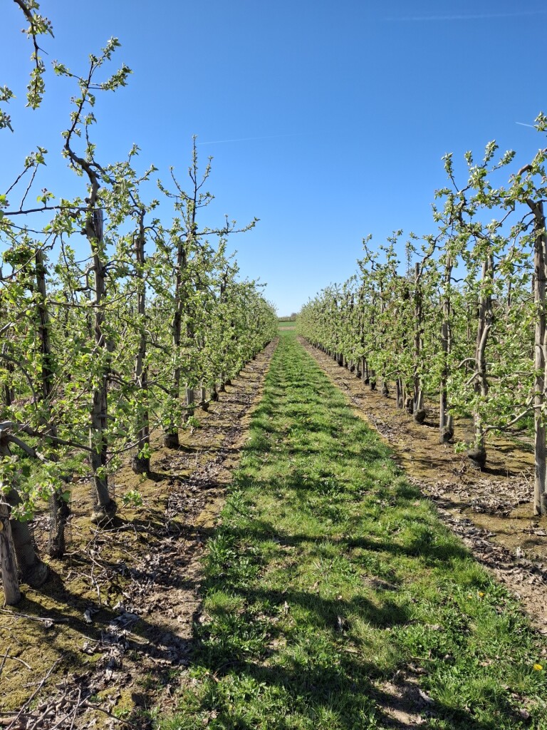 Fruitvalleiwandeling