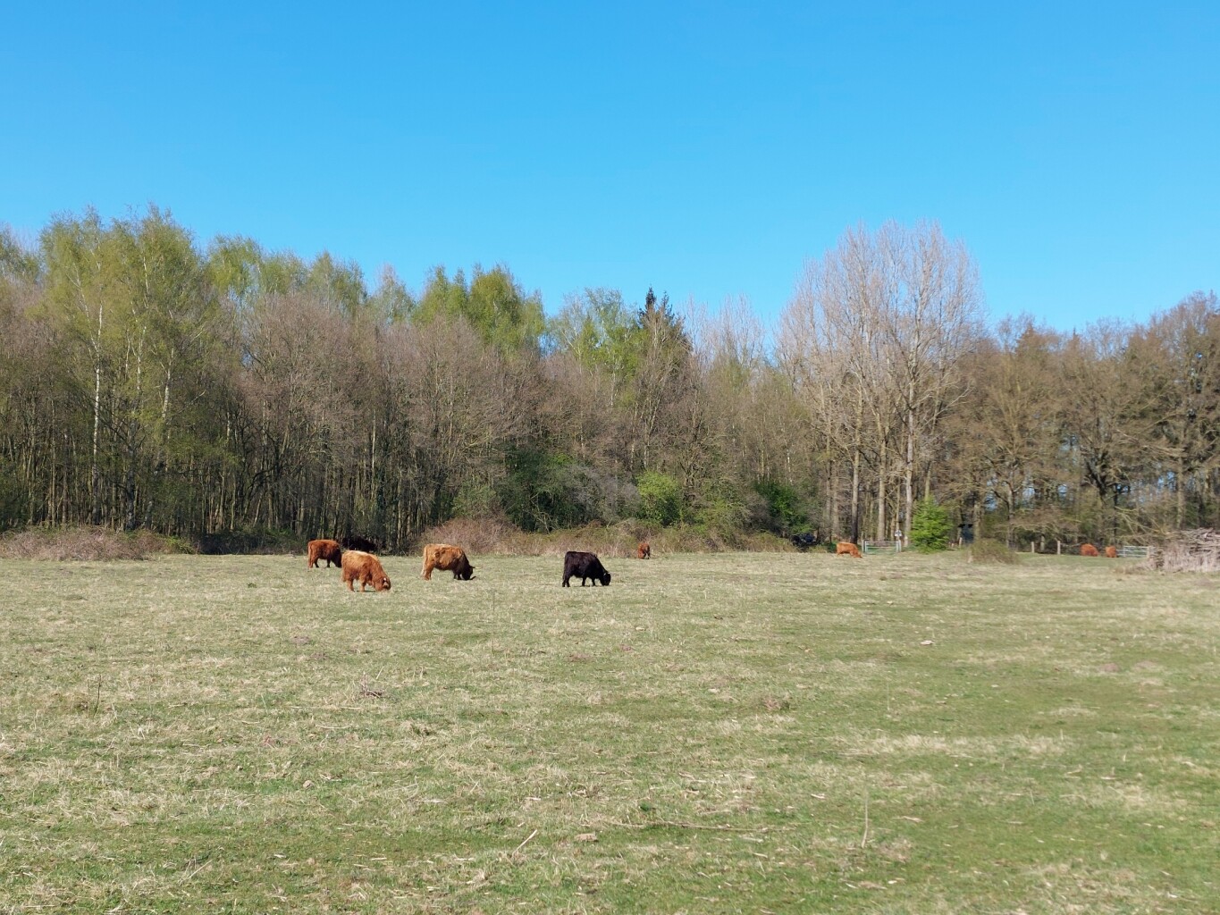 Wanroij - Escharen · Maas- en Peelliniepad etappe 5