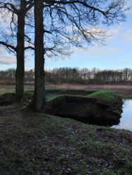 Drentsche Aa