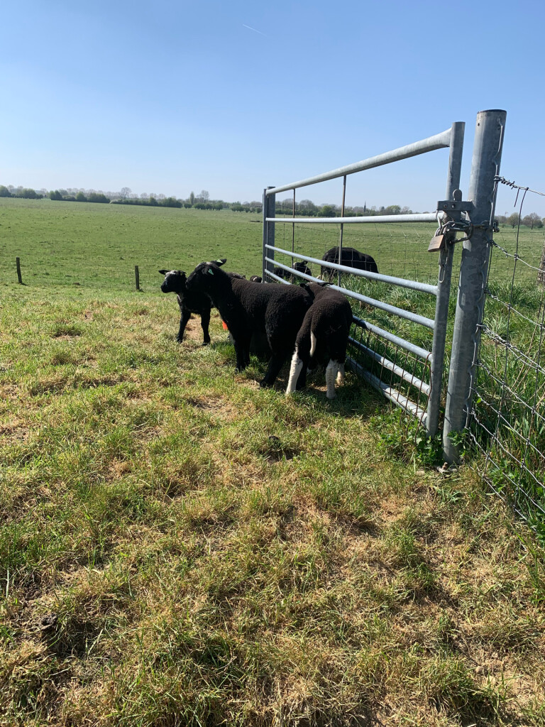 Megen - Velp · Ons Kloosterpad etappe 4