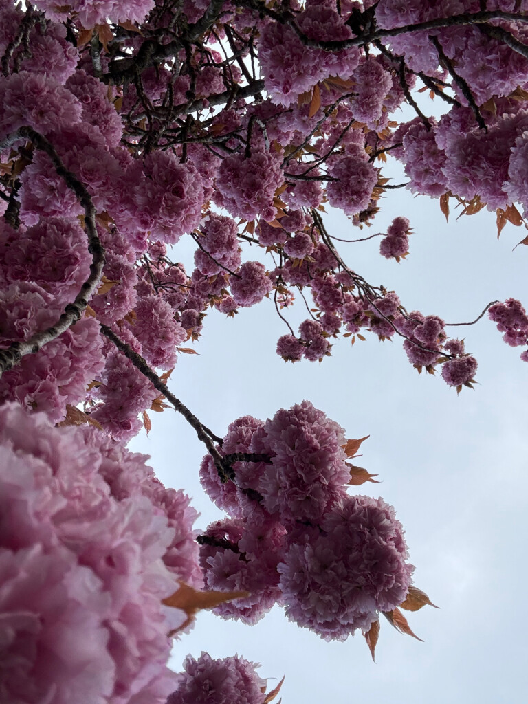 Errekomsepad Erichem