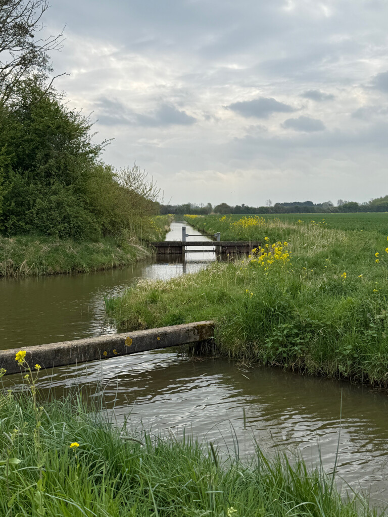 Errekomsepad Erichem