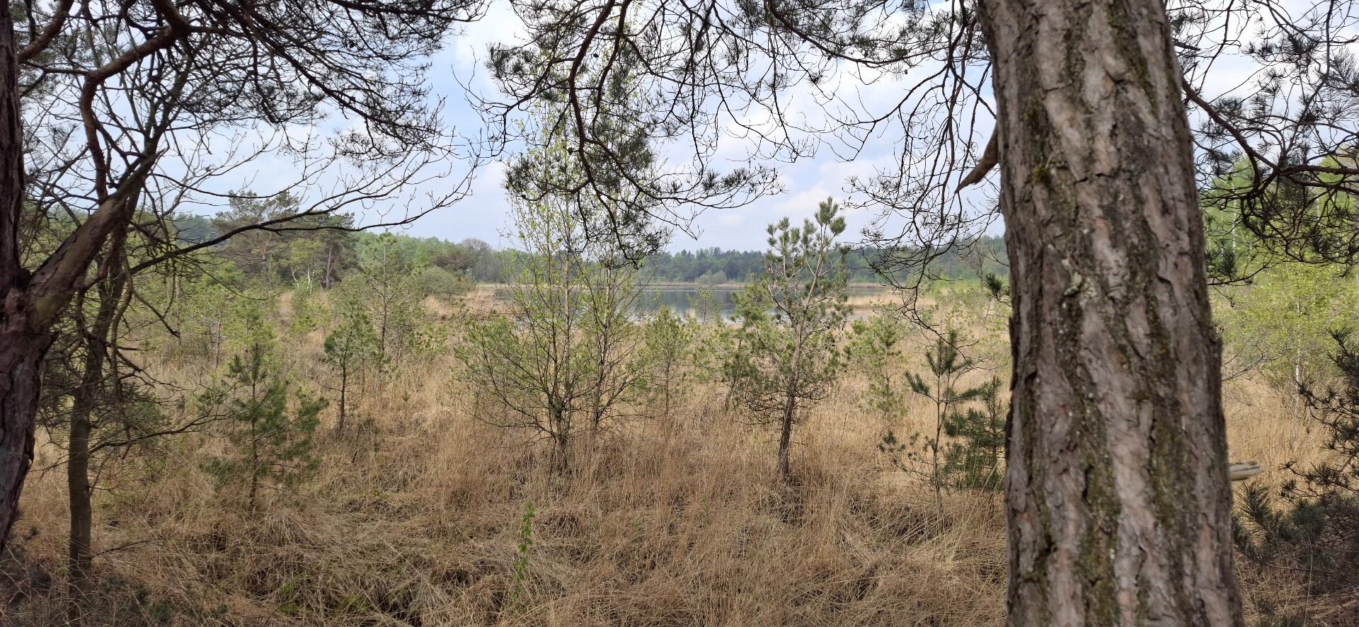 Lage Mierde - Hilvarenbeek · Brabants Vennenpad etappe 11