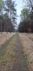 Lage Mierde - Hilvarenbeek · Brabants Vennenpad etappe 11