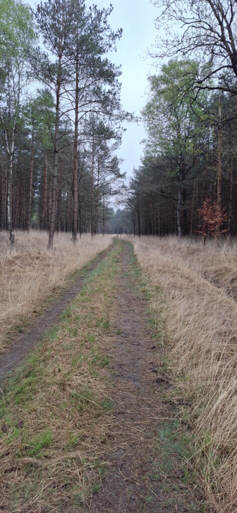 Lage Mierde - Hilvarenbeek · Brabants Vennenpad etappe 11