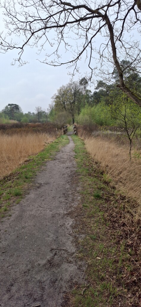 Lage Mierde - Hilvarenbeek · Brabants Vennenpad etappe 11