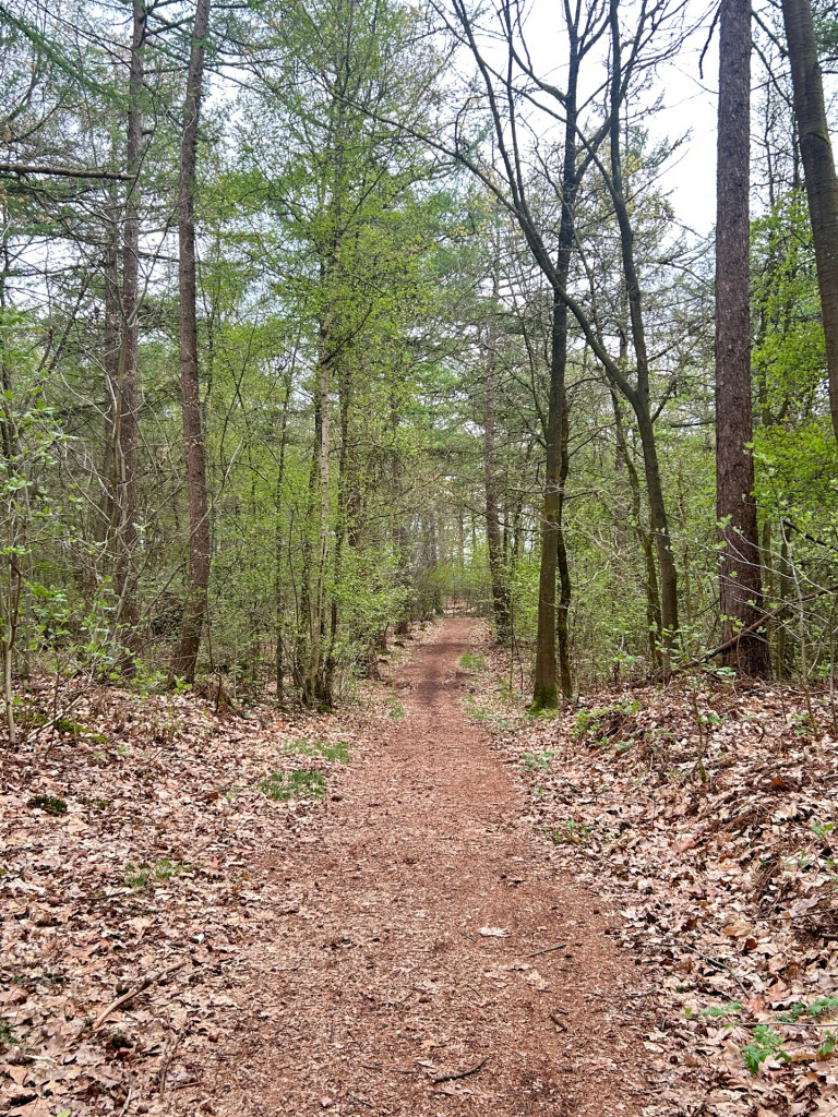 Bakkeveenae duinen groene paaltjes route