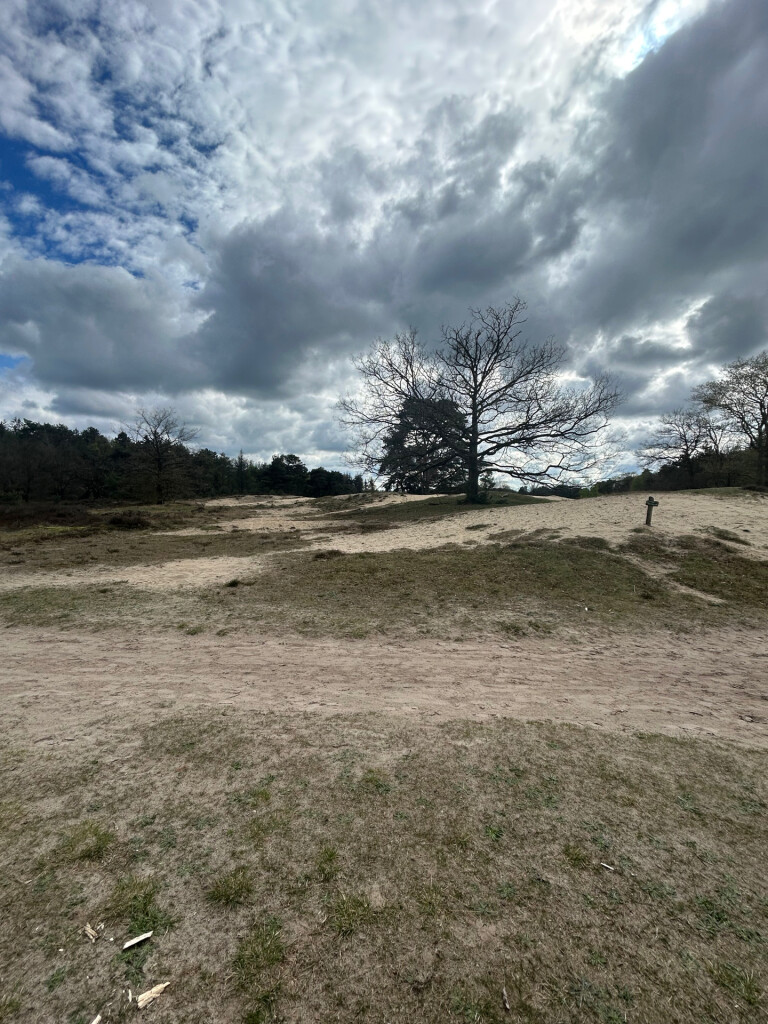 Bakkeveenae duinen groene paaltjes route