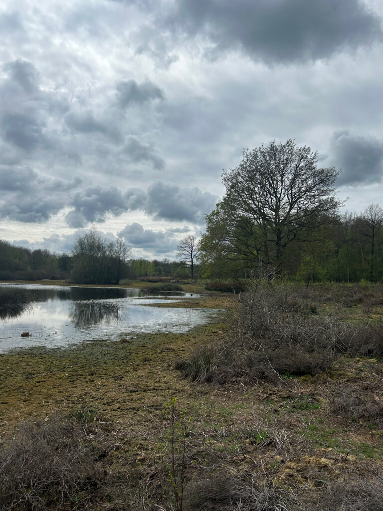 Bakkeveenae duinen groene paaltjes route